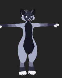 A texture commission